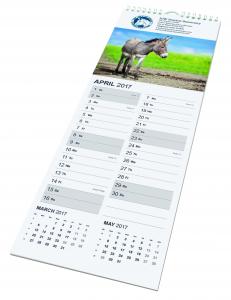 Midi Wall Calendar