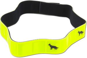 Hi Vis Animal Collars