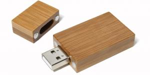 Bamboo FlashDrive